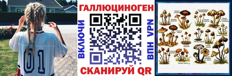 Галлюциногенные грибы Psilocybine cubensis  наркотики  Петушки 