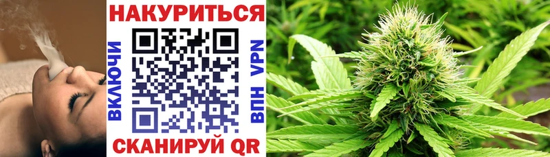 мега ONION  дарк нет наркотические препараты  Каннабис ГИДРОПОН  Петушки 